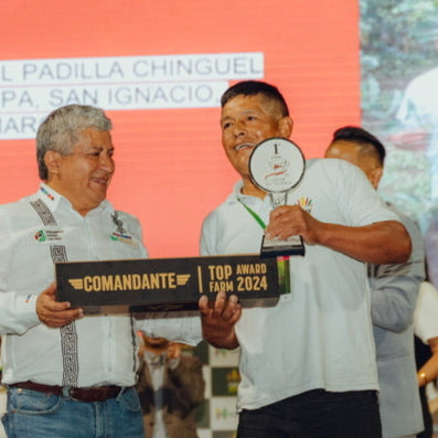 El Mirador |🥇1st Place